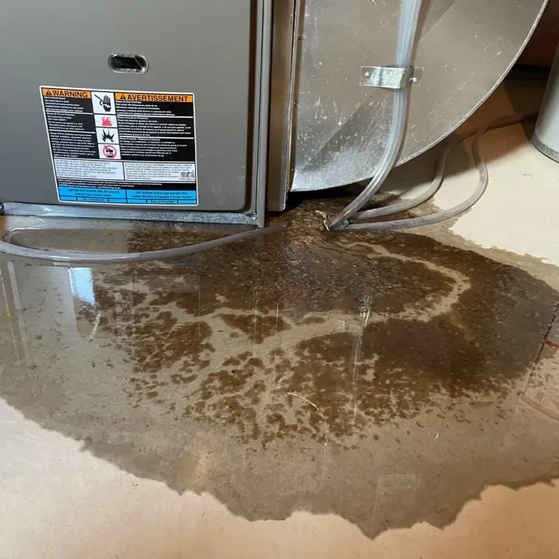 Appliance Leak Cleanup in Chesterfield County, VA